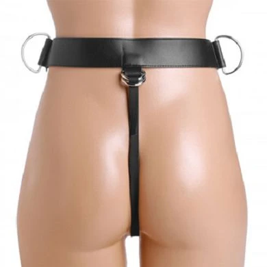 Strap-On-Harness 2 Strap-On-Harness – Bild 2